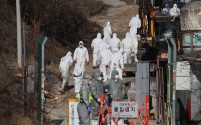 경기 여주 산란계 농장서 고병원성 AI 의심 신고