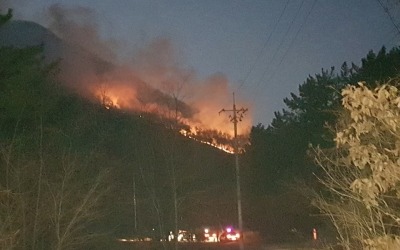 경북 경주시 안강읍 도덕산 '산불'…"4시간 넘게 진화 중"