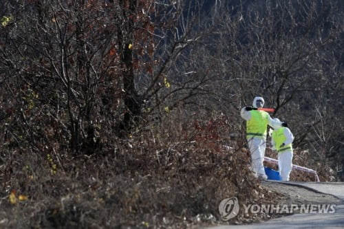 제주도, 3일 0시부터 전국 가금류 반입금지 조치 시행