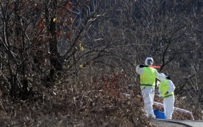 제주도, 3일 0시부터 전국 가금류 반입금지 조치 시행