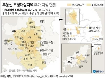 '규제지역 읍면동 단위 지정' 주택법 개정안 국토위 통과