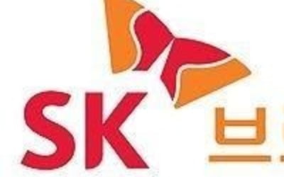 SKB, 기업전화·전국대표번호 등 SK텔링크 B2B사업 인수