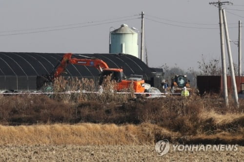 [르포] "장염 백신 맞힌지 하루도 안돼 매몰이라니…생계도 고민"