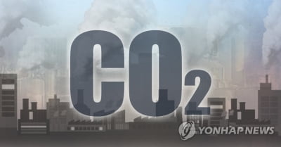 '2050 탄소중립'으로 경제질서 급변…세계는 녹색전환 중