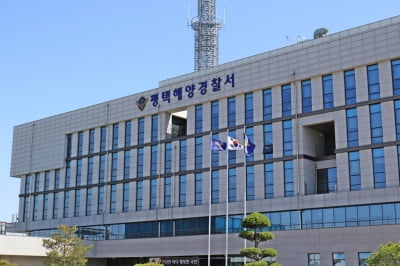 잠수장비 빌려주고 수산물 불법포획 방치한 50대 검찰 송치