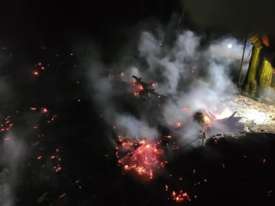 대구 앞산 정상 불, 2시간여 만에 진화…산림 0.016㏊ 소실