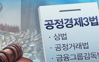 경제단체 "기업규제 3법 통과 유감…보완장치 마련하라"