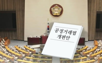 40년만의 공정거래법 개정, 전속고발권 유지·일감규제 확대