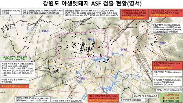 ASF 감염 멧돼지 포획 1두·폐사체 발견 5두…강원 누적 437건