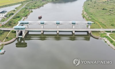 보 개방했더니 '녹조원인' 남조류 점유율↓…생태계 건강 신호