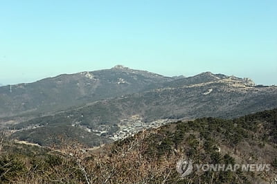 부산 금정산 6∼7부 능선서 불…1시간 30분만에 진화