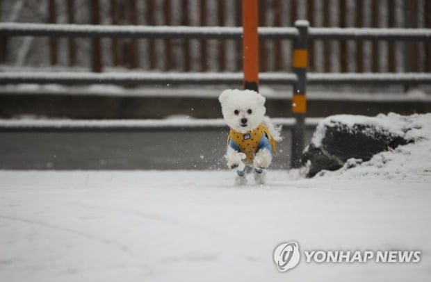 [날씨] 서울 아침 기온 영하 10도…남부지방 많은 눈