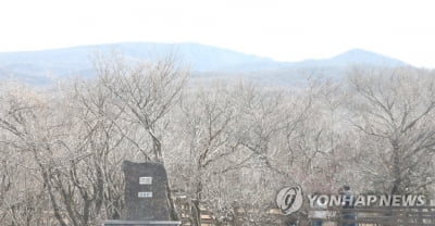 제주 해안 올겨울 첫눈…산지 대설주의보