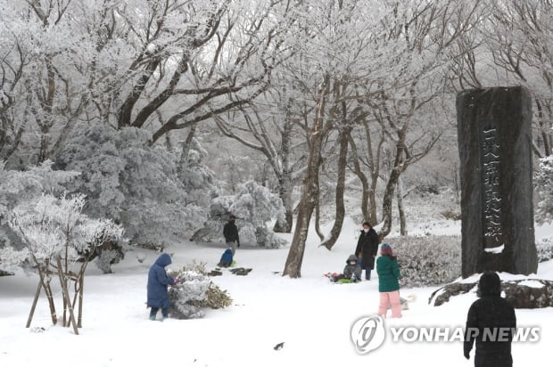 제주도 산지 대설특보 이틀째…한라산 최고 40㎝ 눈