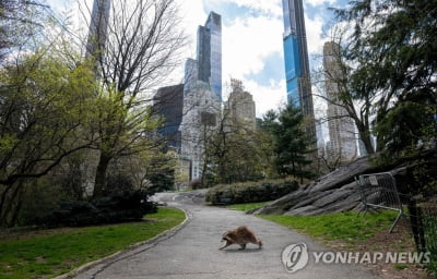 뉴욕, 크리스마스 이후 '봉쇄령' 재선포 가능성