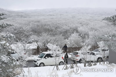 제주 북·남·서부 대설주의보…"교통안전 주의"