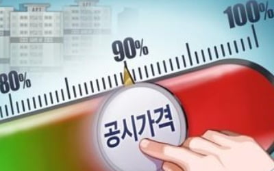 내년 표준 단독주택 공시가 6.68% 오른다…서울은 10.13% '껑충'