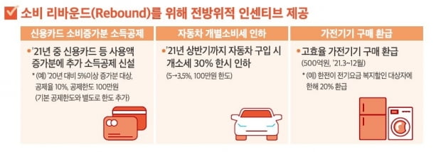 카드 사용 늘리면 100만원 소득공제 추가…"내년 3.2% 성장"