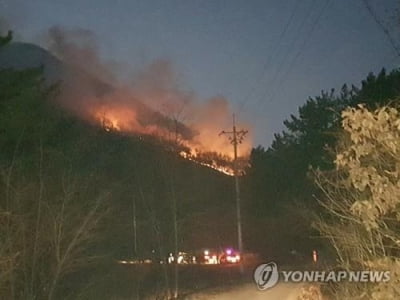 경북 경주시 안강읍 일원서 산불…소방당국 "진화 중"