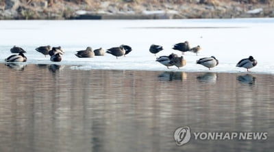 강원 낮 최고 12도 포근…건조특보 동해안 '산불 조심'