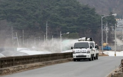 정읍 육용오리 농장에서 고병원성 AI 의심사례 발견