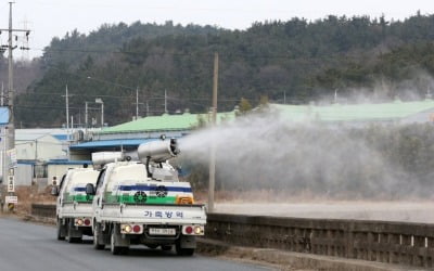 여주 산란계 농장에서 고병원성 AI 의심 신고…고병원성 검사