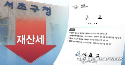 대법 "서초구 재산세 감경조치 본안 판결 때까지 중지"