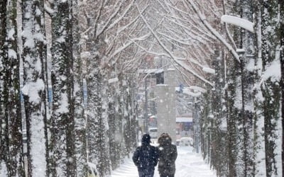 2년 만에 내린 눈폭탄에 광주·전남 곳곳 '미끄덩'