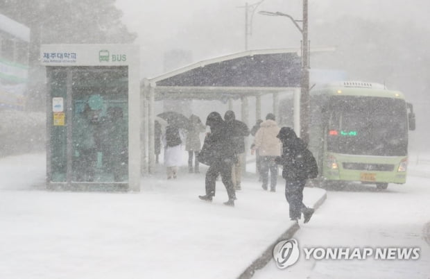 대설·강풍·풍랑특보 발효 제주 항공편 결항 속출·여객선 통제