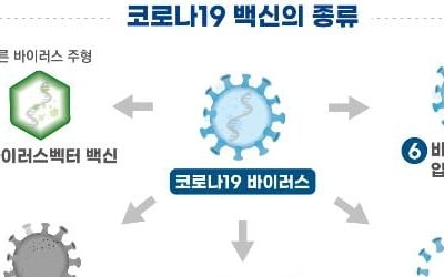 식약처, SK바이오사이언스 코로나19 백신 임상 1·2상 승인