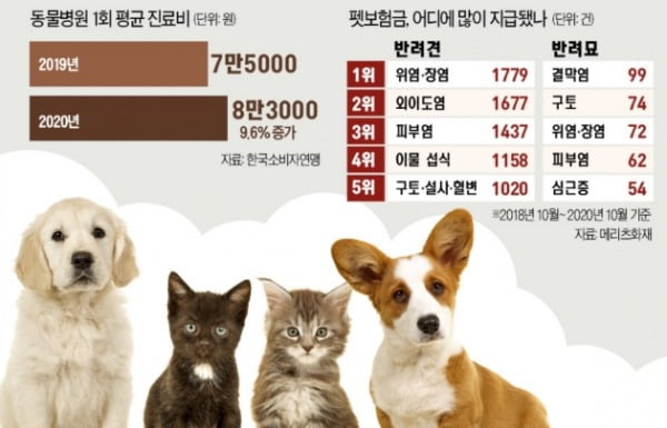 I paid 120,000 won and received 465 million won for the hospital…  Pet insurance popularity