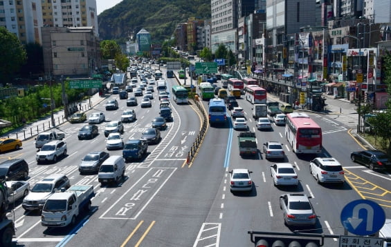 [단독] 버스전용차로 한복판에 '잔디' 심는다…실효성 논란