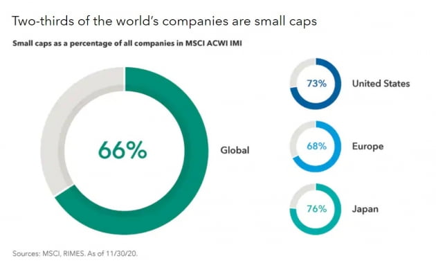 글로벌 소형주 비중. 자료=캐피탈그룹