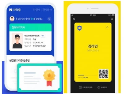 "100만원 포인트 적립"…네이버·카카오, '디지털 지갑' 선점 경쟁