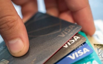 VISA, 핀테크기업 '플레이드' 인수 무산…6조원 딜 깨졌다