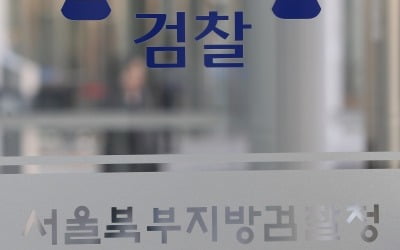 檢, '박원순 피소 유출' 의혹 남인순·김영순 수사 착수