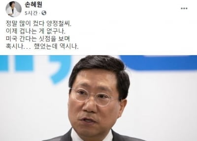 양정철 사면제안 보도…손혜원 "많이 컸다, 겁나는 게 없구나"