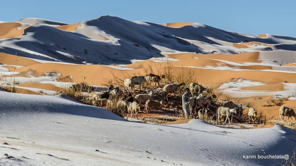 북아프리카 알제리 아인 세프라 지역 사하라 사막에 눈이 쌓여있다/사진=카림 부셰타타 페이스북
