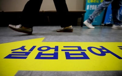 "실업급여 2년치 넘는 돈인데…매달 자영업자들에 뿌리는 셈"