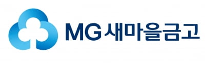새마을금고, 대체투자 조직 확대 개편