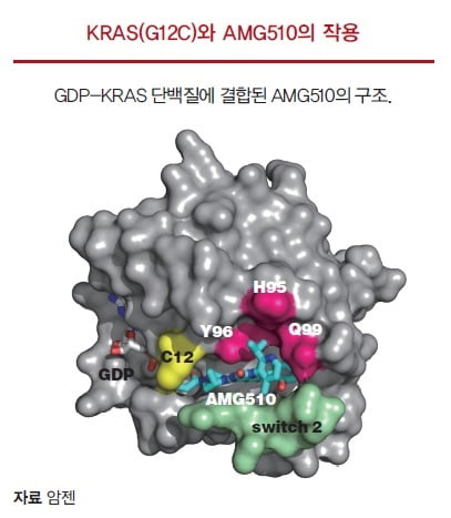 [과학에서 산업찾기] 난공불락의 KRAS, 과연 항암시장의 새로운 길 열까