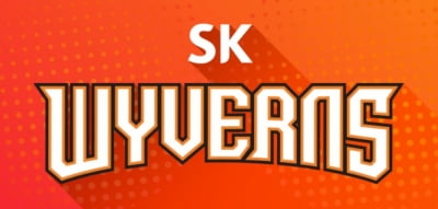 "이마트의 SK와이번스 인수 성과, 단기간엔 쉽지 않아"