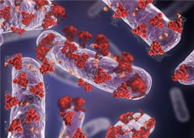 라파스, 유전자재조합 박테리아 코로나19 백신 효능 확인