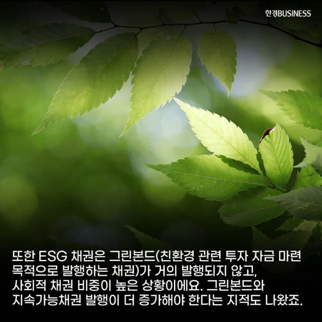 [카드뉴스] 국내 은행 ESG 환경 분야 취약, 올해 금융사 ESG 가속화에 따른 산업계 자금 흐름 변화 전망