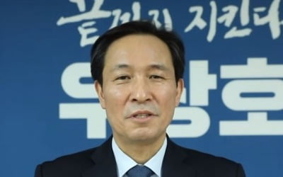 "서울시장 돼 文 지킬 것"…'친문사이트'에 등장한 우상호