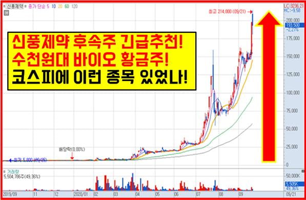 조용히 매수해서 묻어놔라 신년 1月 정말 큰 돈 된다!