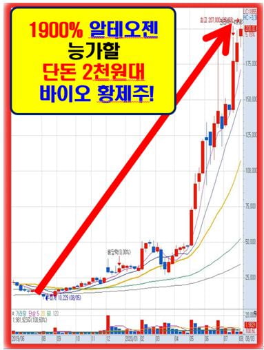 세계 시장 점유율 1위 달성! 단돈 2천원대 황금주!