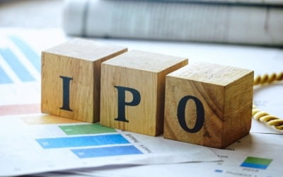 대규모 IPO·증자로 지난해 주식 발행 105%↑…10조원 돌파
