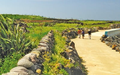 안동 하회마을·제주 올레길…'한국관광 100선' 선정지 보니