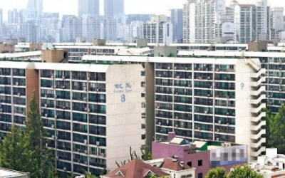 공시가격 급증 따른 부작용 줄인다…서울 주요 아파트 단지 재건축부담금 완화될 듯 